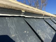 IMG_20260219_123532_594