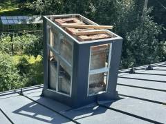 IMG_20260219_123956_380